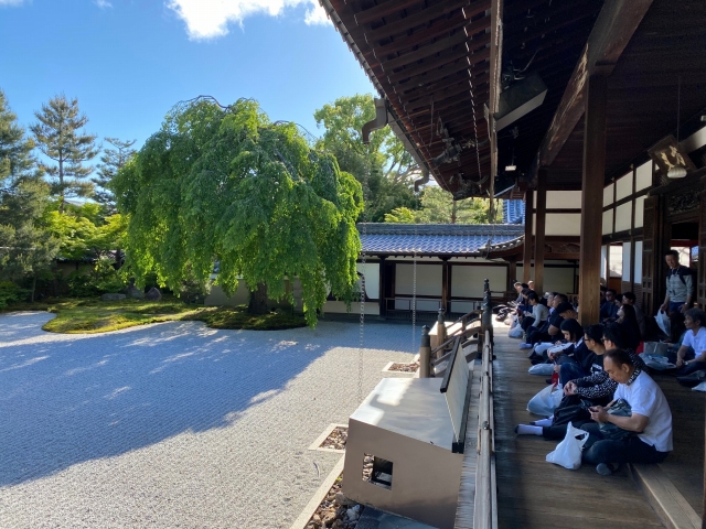 2024年5月8日(水) 第5回現地研修企画 京滋の歴史&社寺を歩く、見る、学ぶ