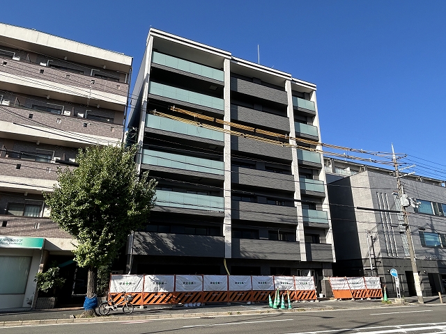 MAYFAIR OIKE PREMIUM