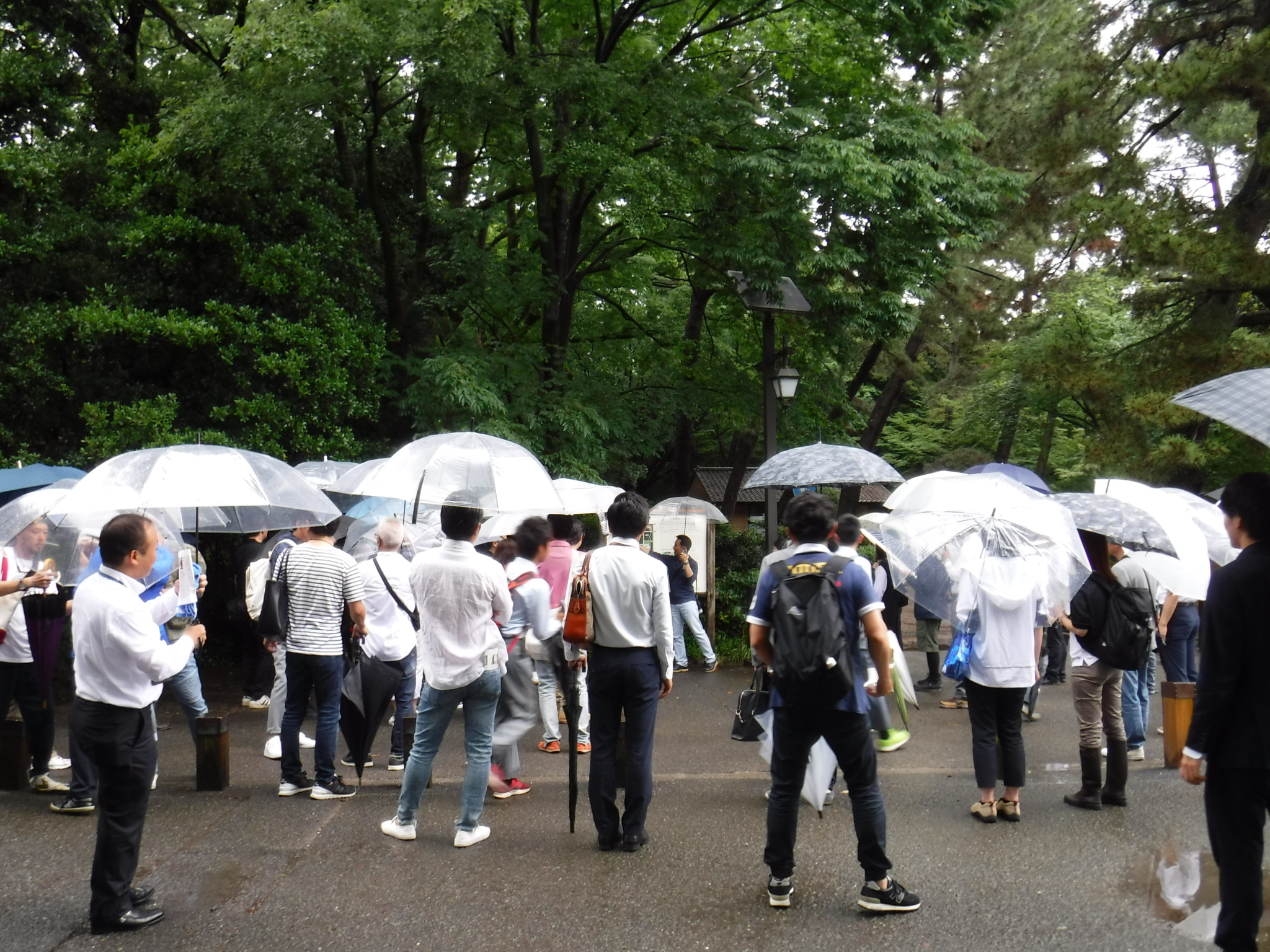 平成30年6月6日（水） 第1回 現地研修企画