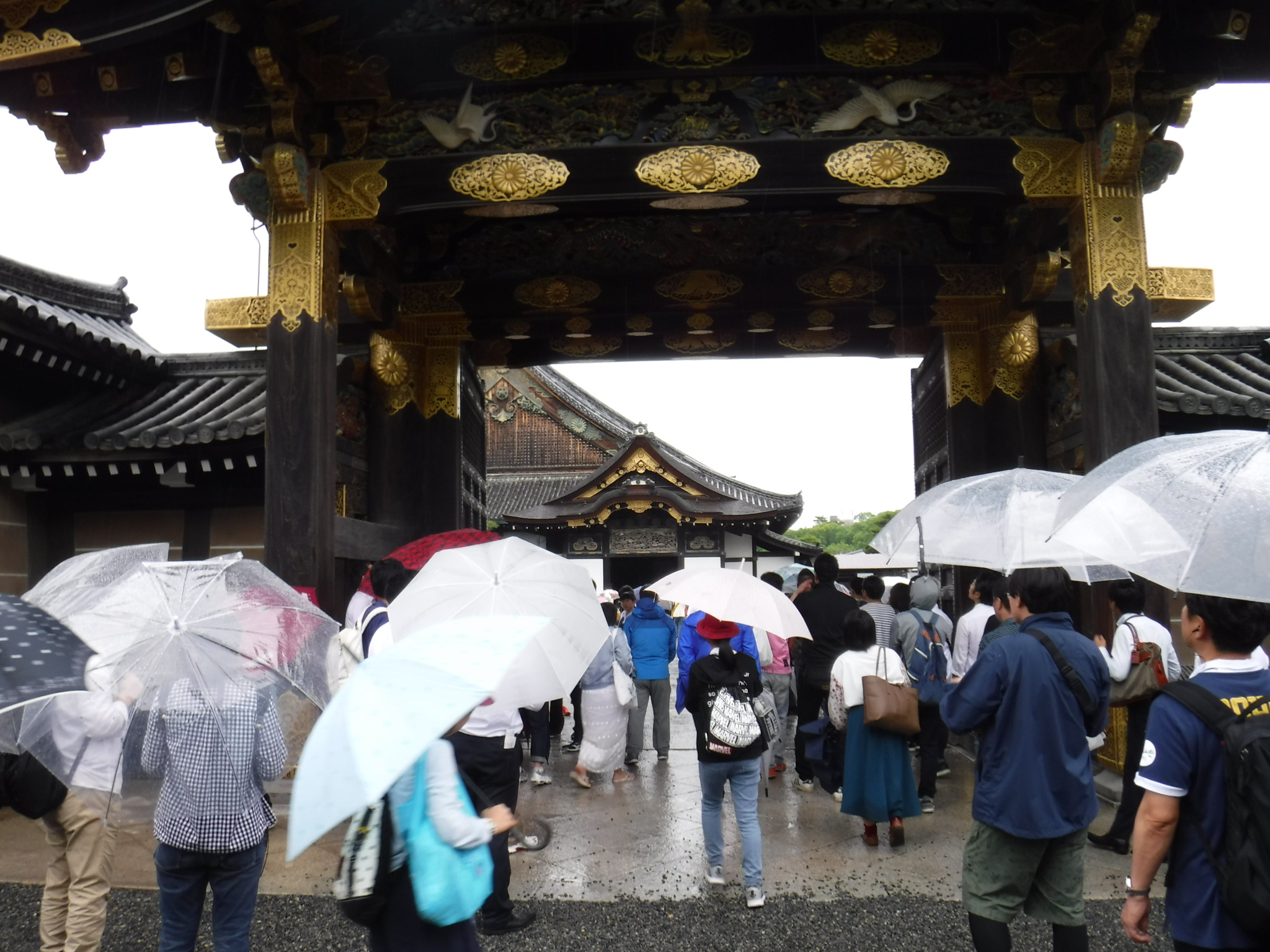 平成30年6月6日（水） 第1回 現地研修企画