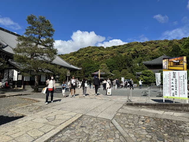 2024年5月8日（水） 第5回現地研修企画 京滋の歴史＆社寺を歩く、見る、学ぶ