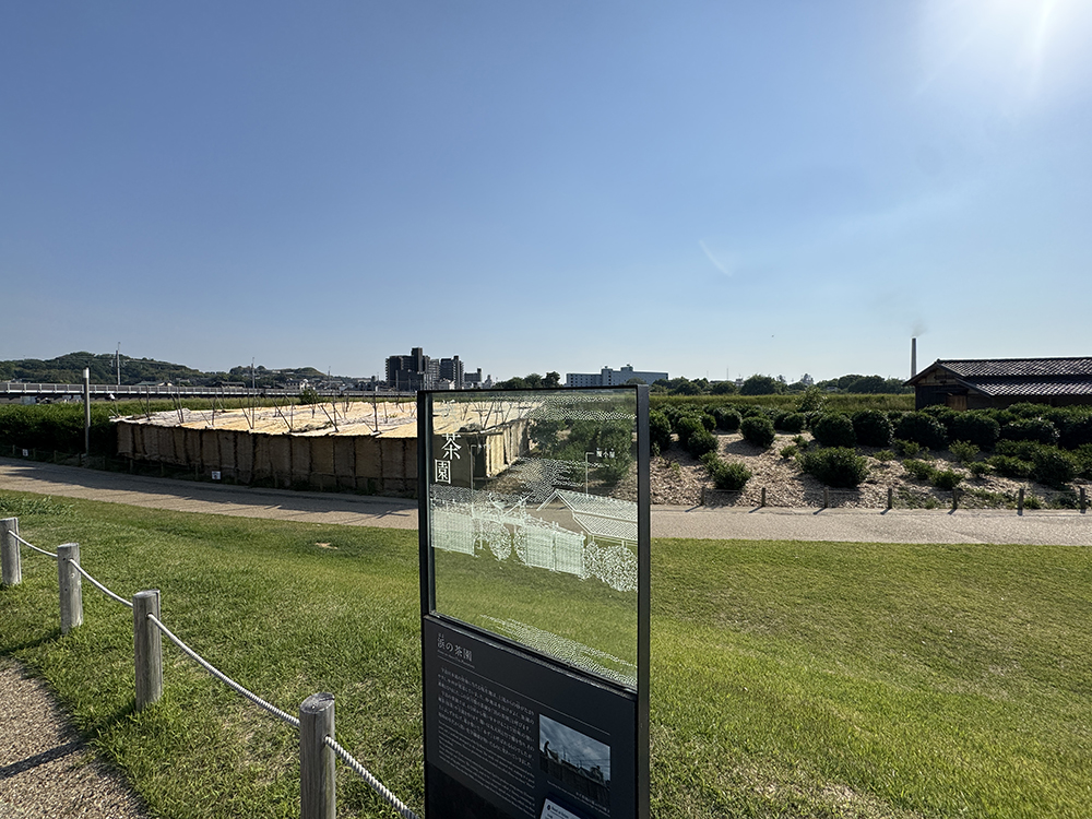 2025年5月14日（水） 第6回現地研修企画 京滋の歴史＆社寺を歩く、見る、学ぶ